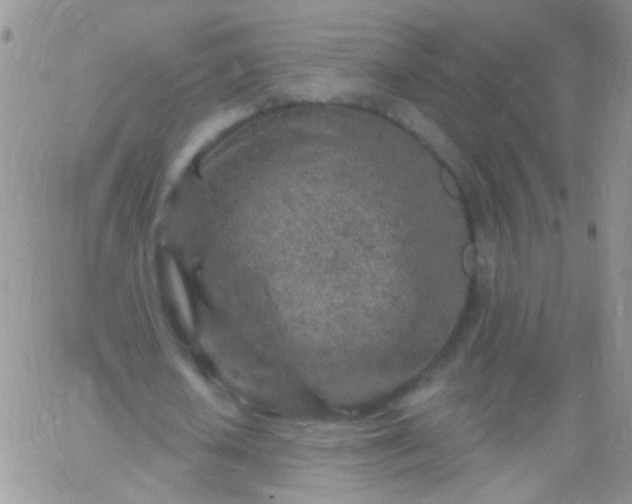 X0000065970626200603172051