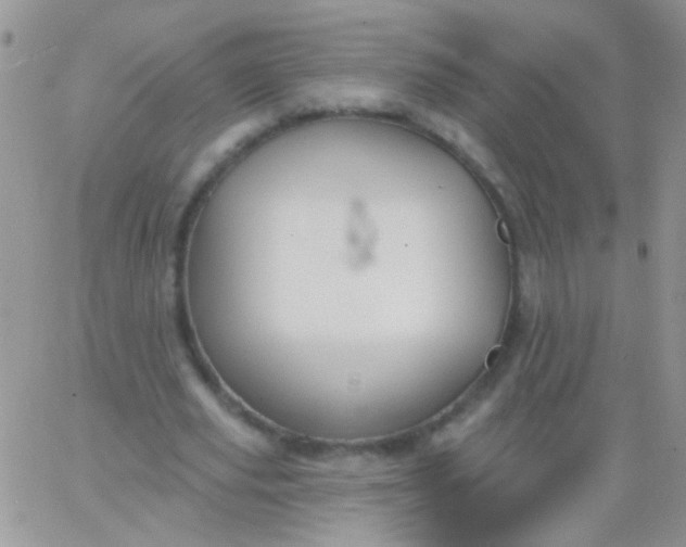 X0000065970629200603172051