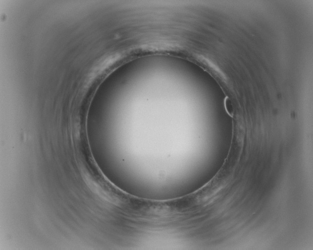 X0000065970631200603172051