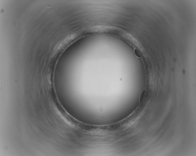 X0000065970633200603172051