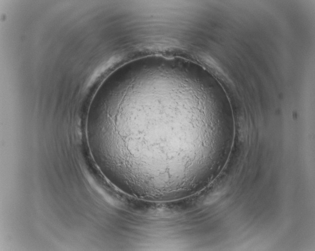 X0000065970634200603172051