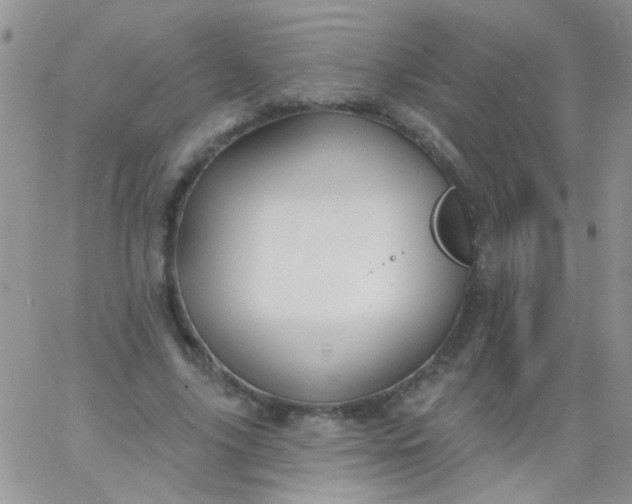 X0000065970635200603172051