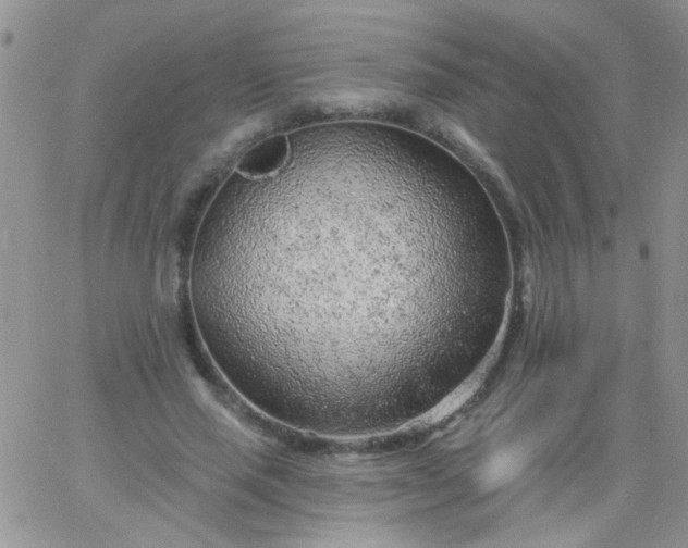 X0000065970637200603172051