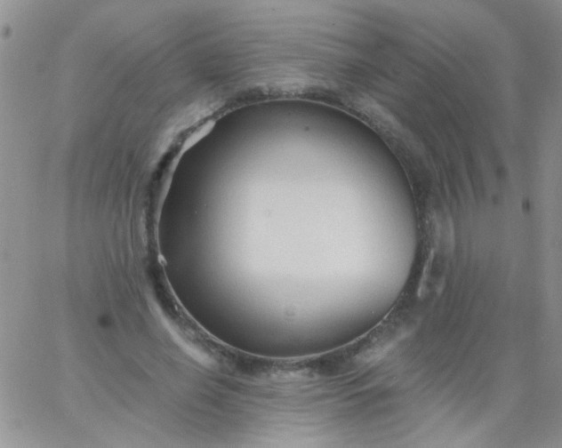 X0000065970638200603172051