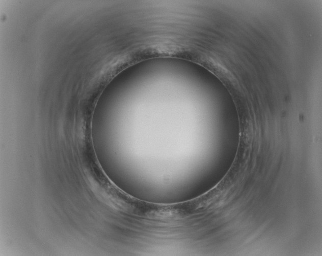 X0000065970639200603172051