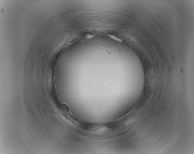 X0000065970642200603172051