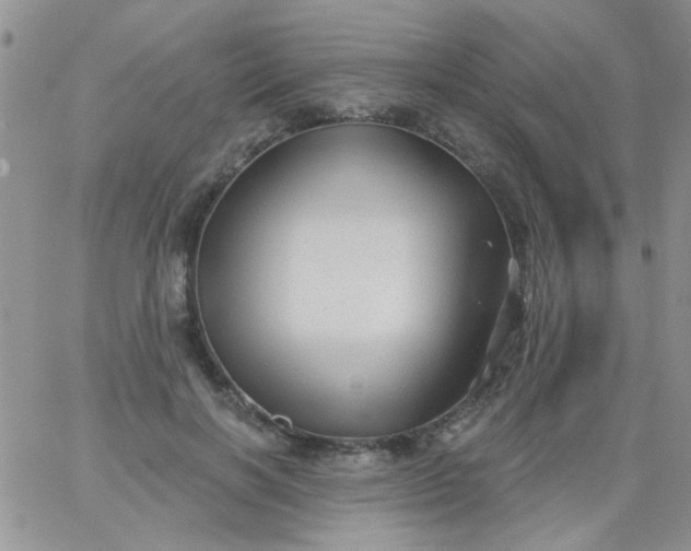 X0000065970646200603172051