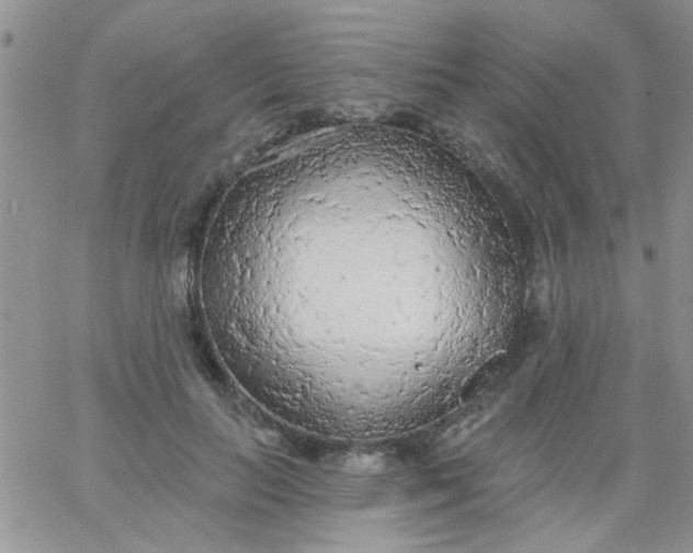 X0000065970647200603172051