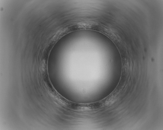 X0000065970649200603172051