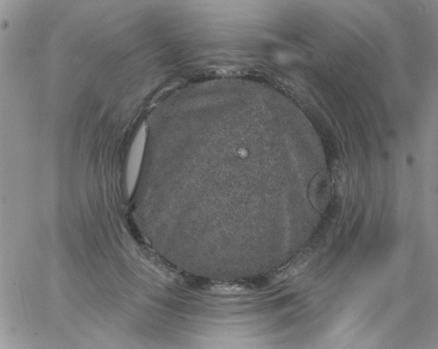 X0000065970650200603172051