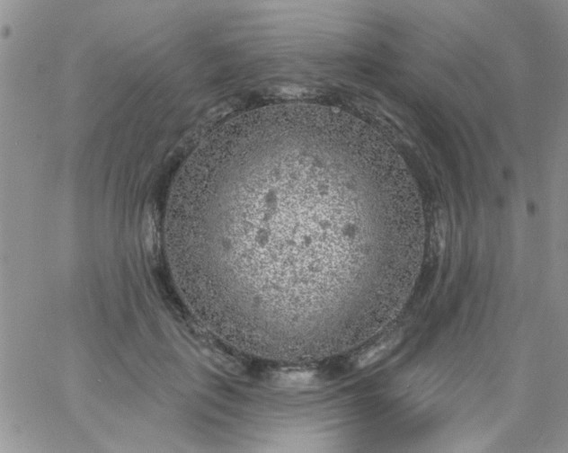 X0000065970651200603172051