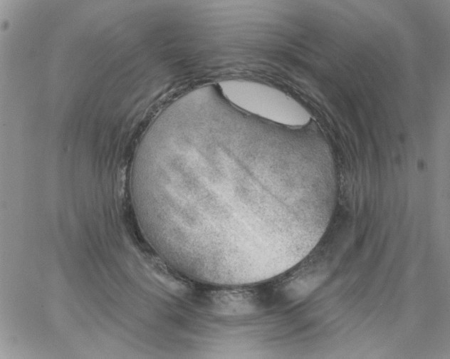 X0000065970652200603172051