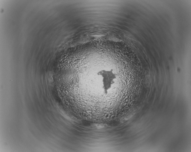 X0000065970654200603172051