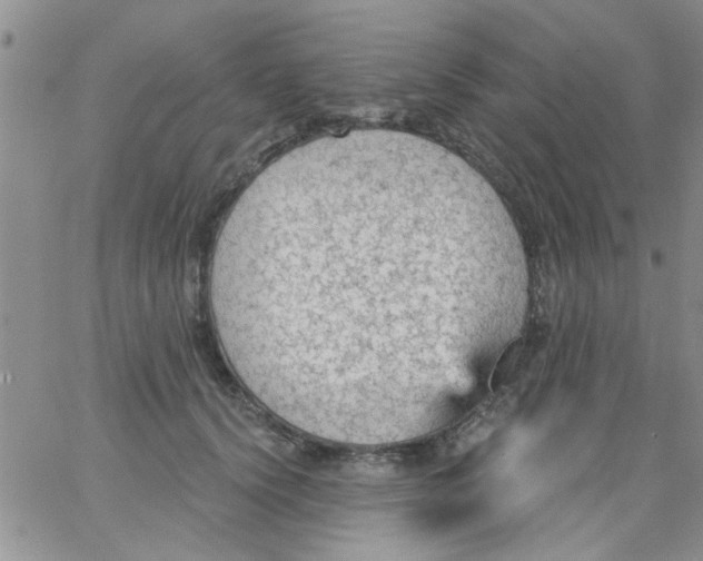 X0000065970656200603172051