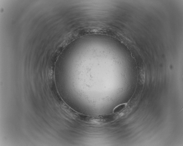 X0000065970657200603172051