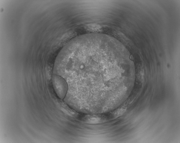 X0000065970658200603172051