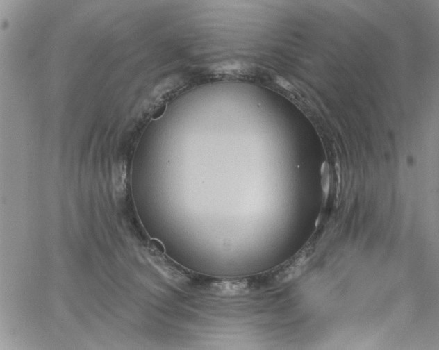 X0000065970660200603172051