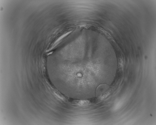 X0000065970663200603172051