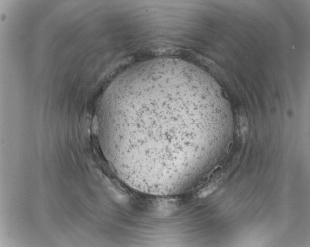 X0000065970664200603172051