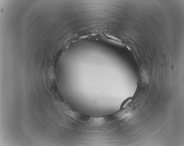 X0000065970665200603172051