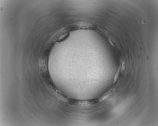 X0000065970666200603172051