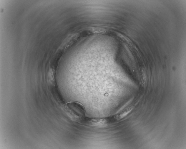 X0000065970667200603172051