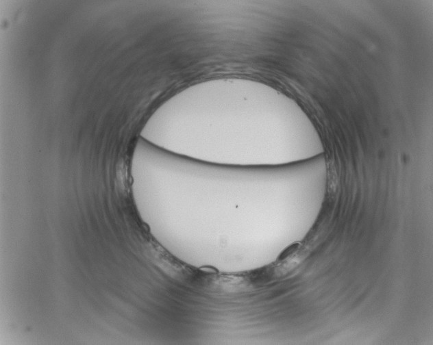 X0000065970669200603172051