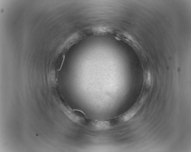 X0000065970670200603172051