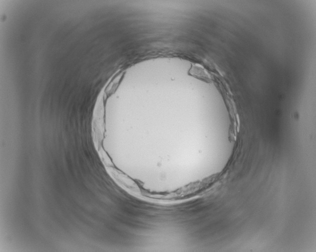 X0000065970672200603172051