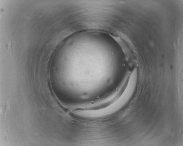 X0000065970673200603172051