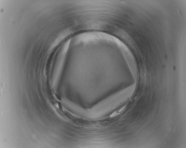 X0000065970674200603172051