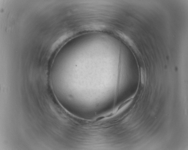 X0000065970675200603172051