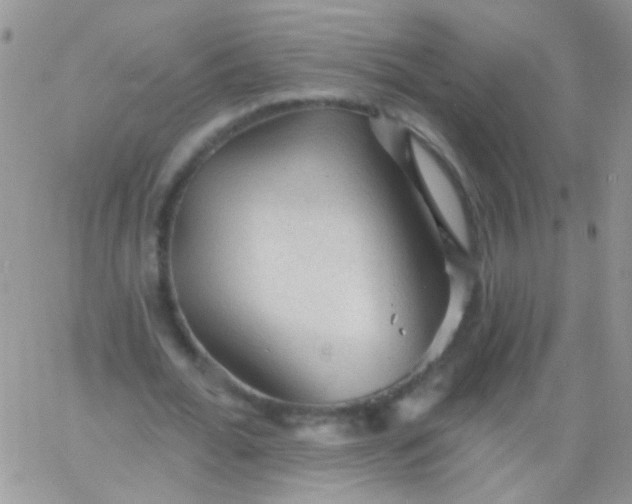 X0000065970676200603172051