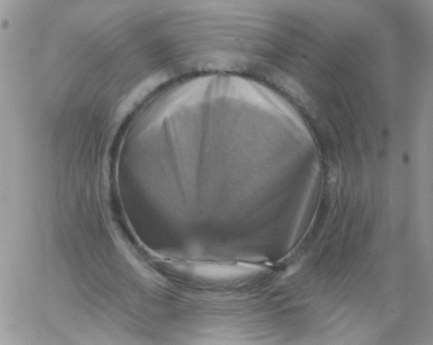 X0000065970678200603172051