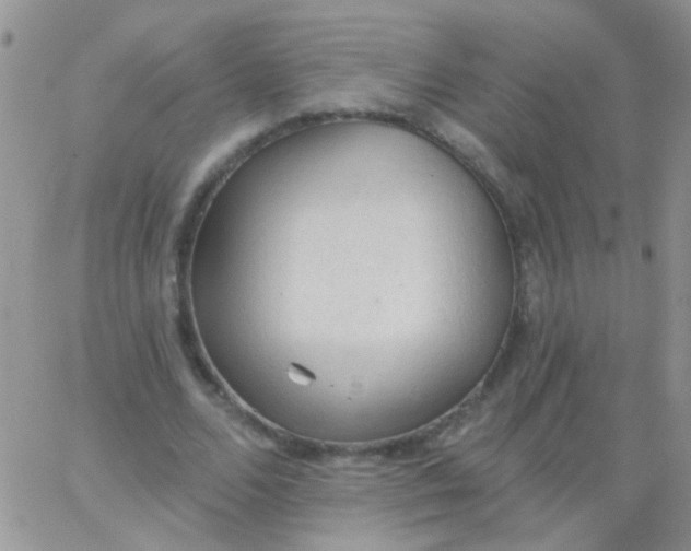 X0000065970680200603172051