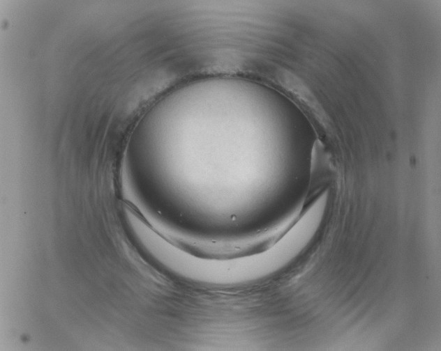 X0000065970681200603172051