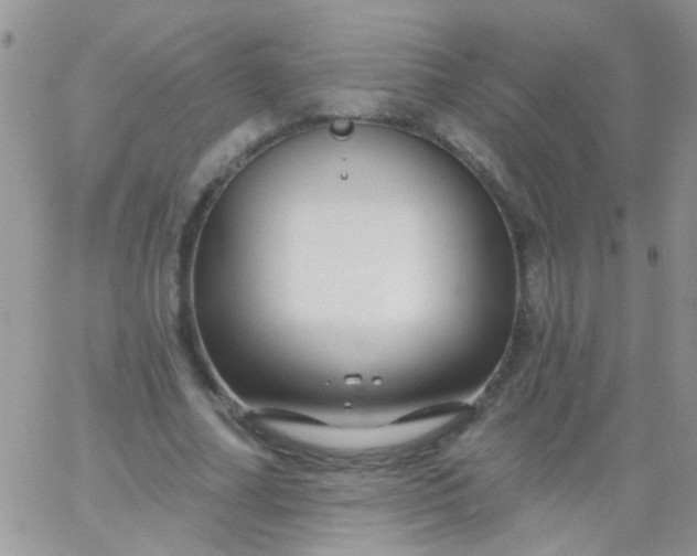 X0000065970682200603172050