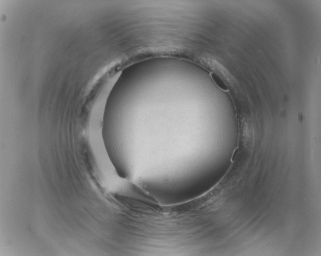 X0000065970684200603172050