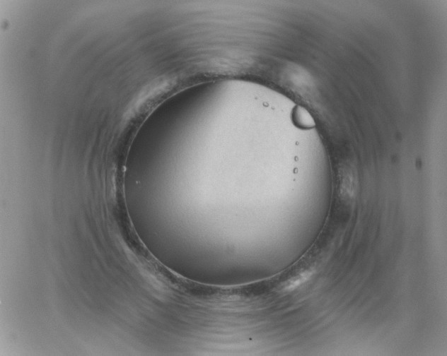 X0000065970685200603172050