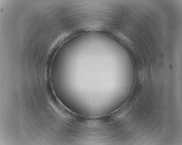 X0000065970686200603172050