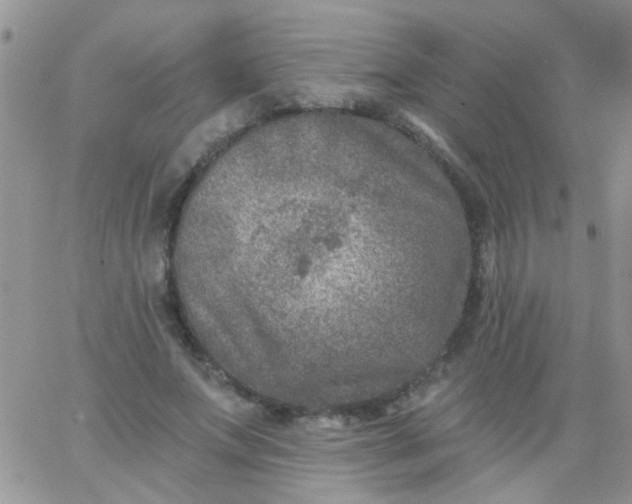 X0000065970687200603172050