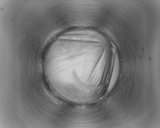 X0000065970688200603172050