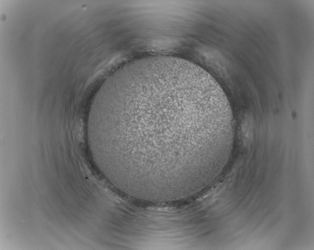 X0000065970689200603172050