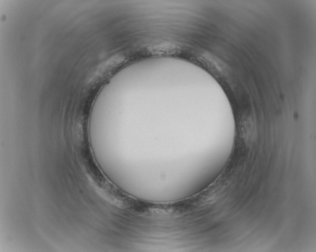 X0000065970690200603172050