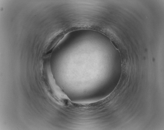 X0000065970692200603172050