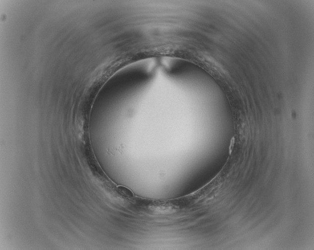 X0000065970693200603172050