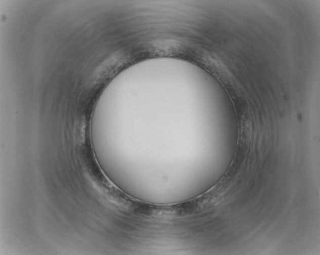 X0000065970694200603172050