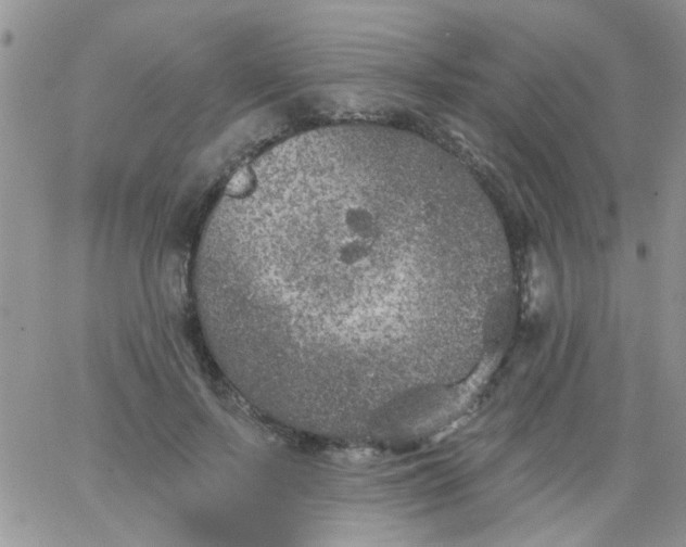 X0000065970695200603172050