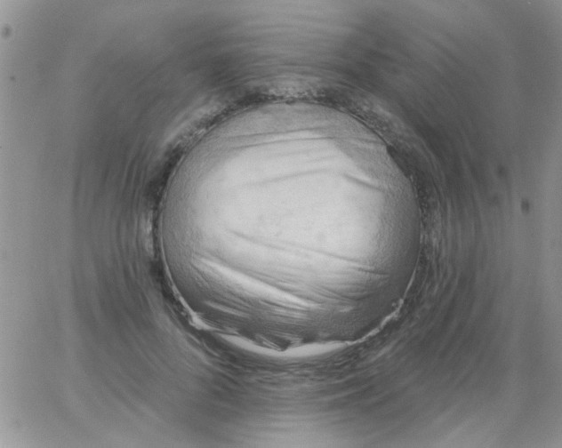 X0000065970696200603172050