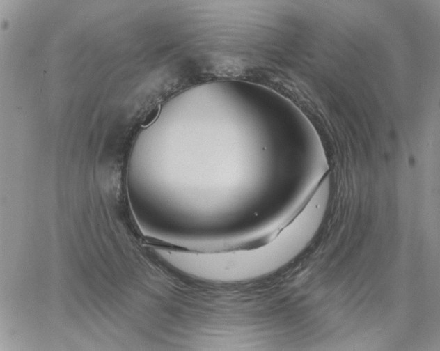 X0000065970697200603172050